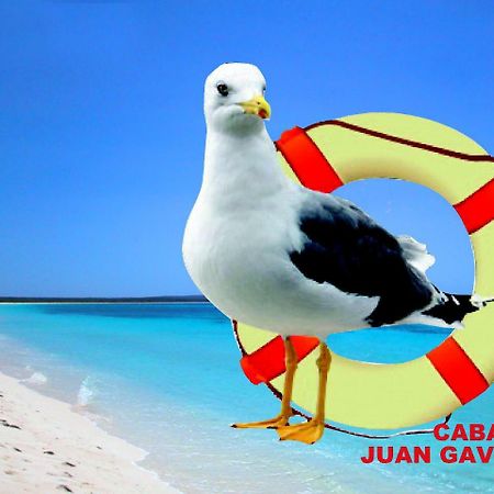 Cabanas Juan Gaviota Punta de Choros Exterior foto