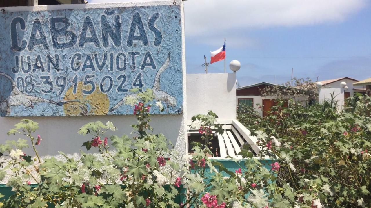 Cabanas Juan Gaviota Punta de Choros Exterior foto