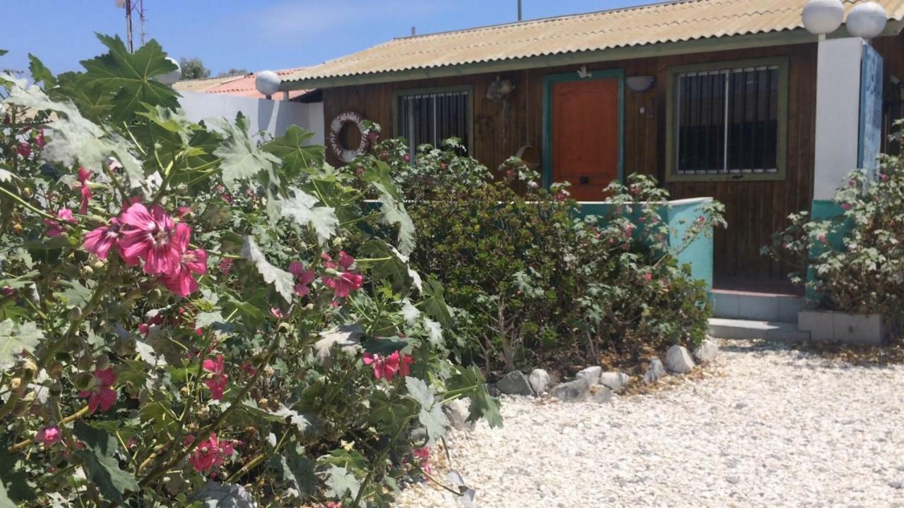 Cabanas Juan Gaviota Punta de Choros Exterior foto