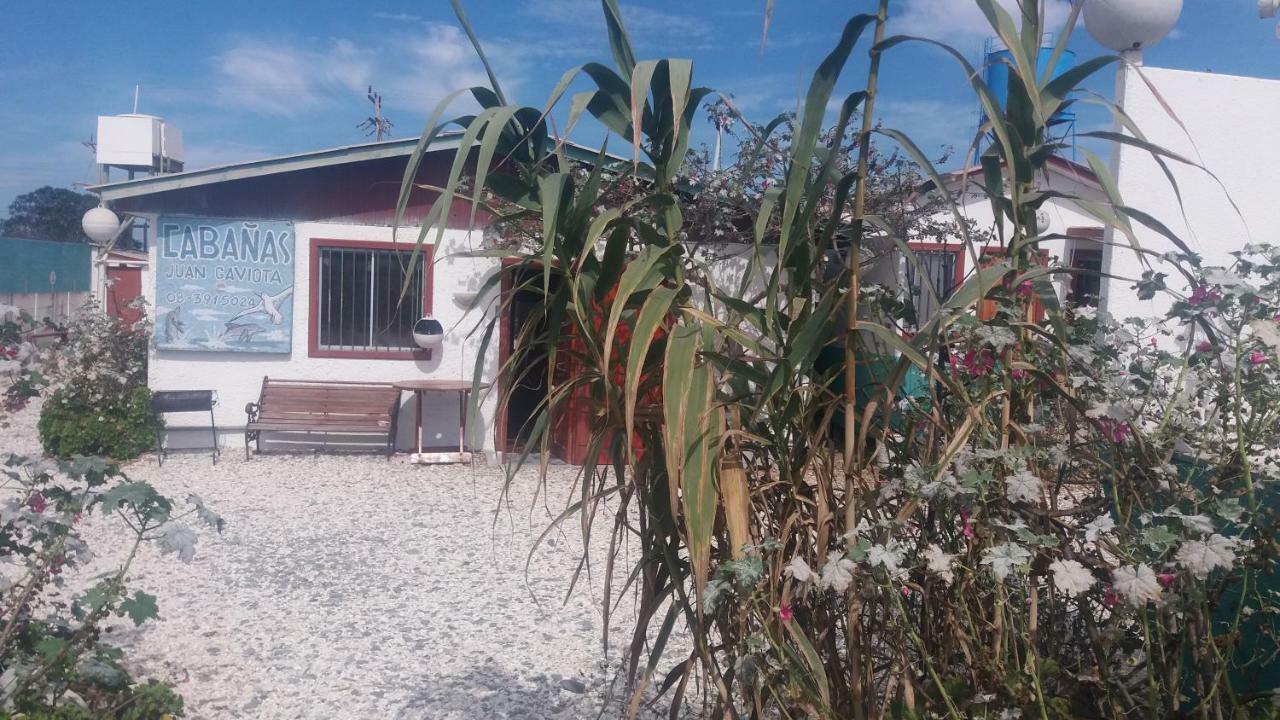 Cabanas Juan Gaviota Punta de Choros Exterior foto