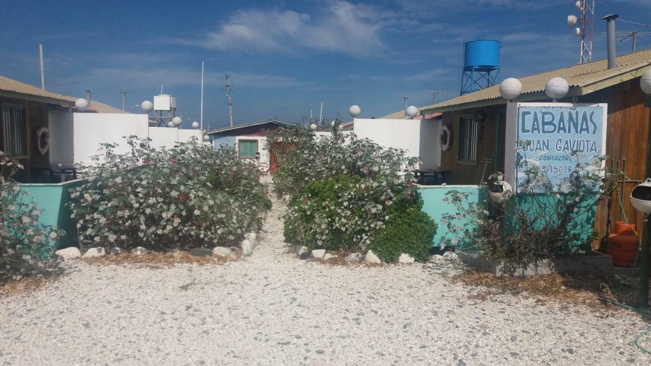 Cabanas Juan Gaviota Punta de Choros Exterior foto