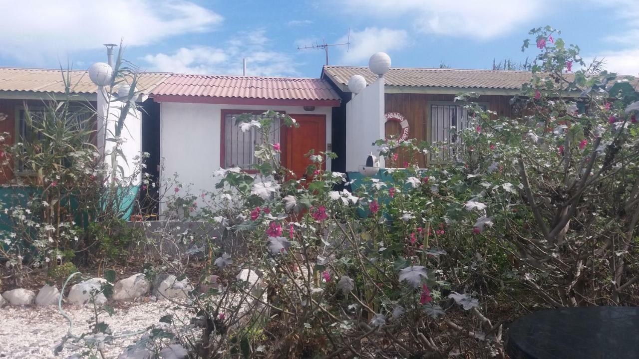 Cabanas Juan Gaviota Punta de Choros Exterior foto
