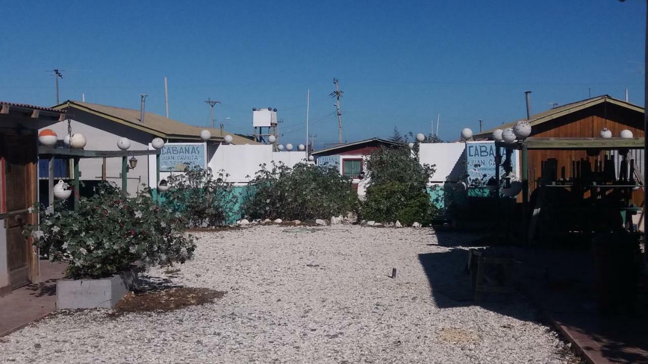 Cabanas Juan Gaviota Punta de Choros Exterior foto